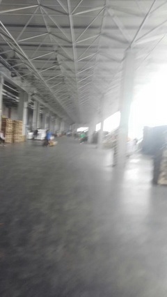 广州至洛阳冷链物流与普通货物仓储服务解决方案